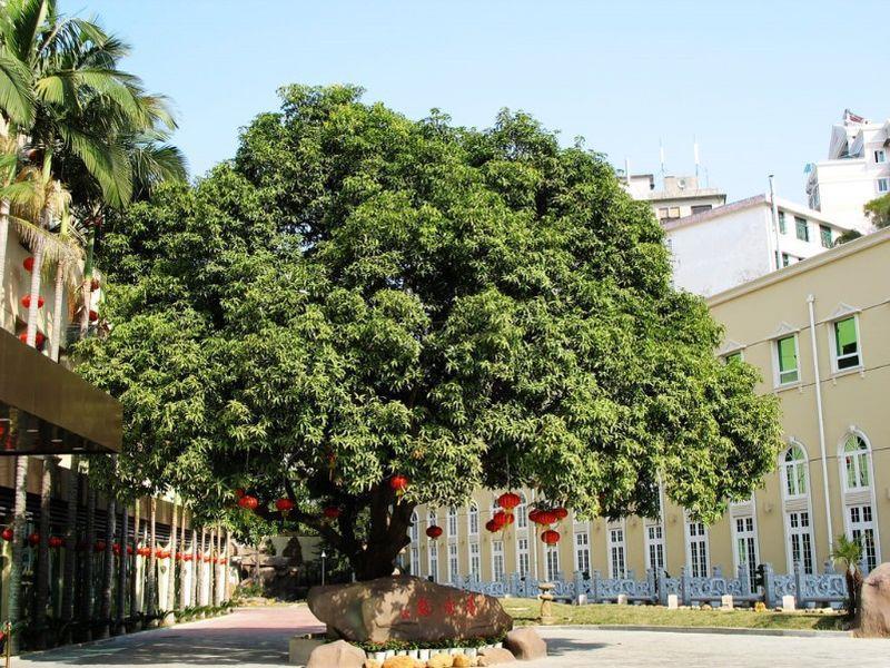 Hilford Hotel เซียะเหมิน ภายนอก รูปภาพ